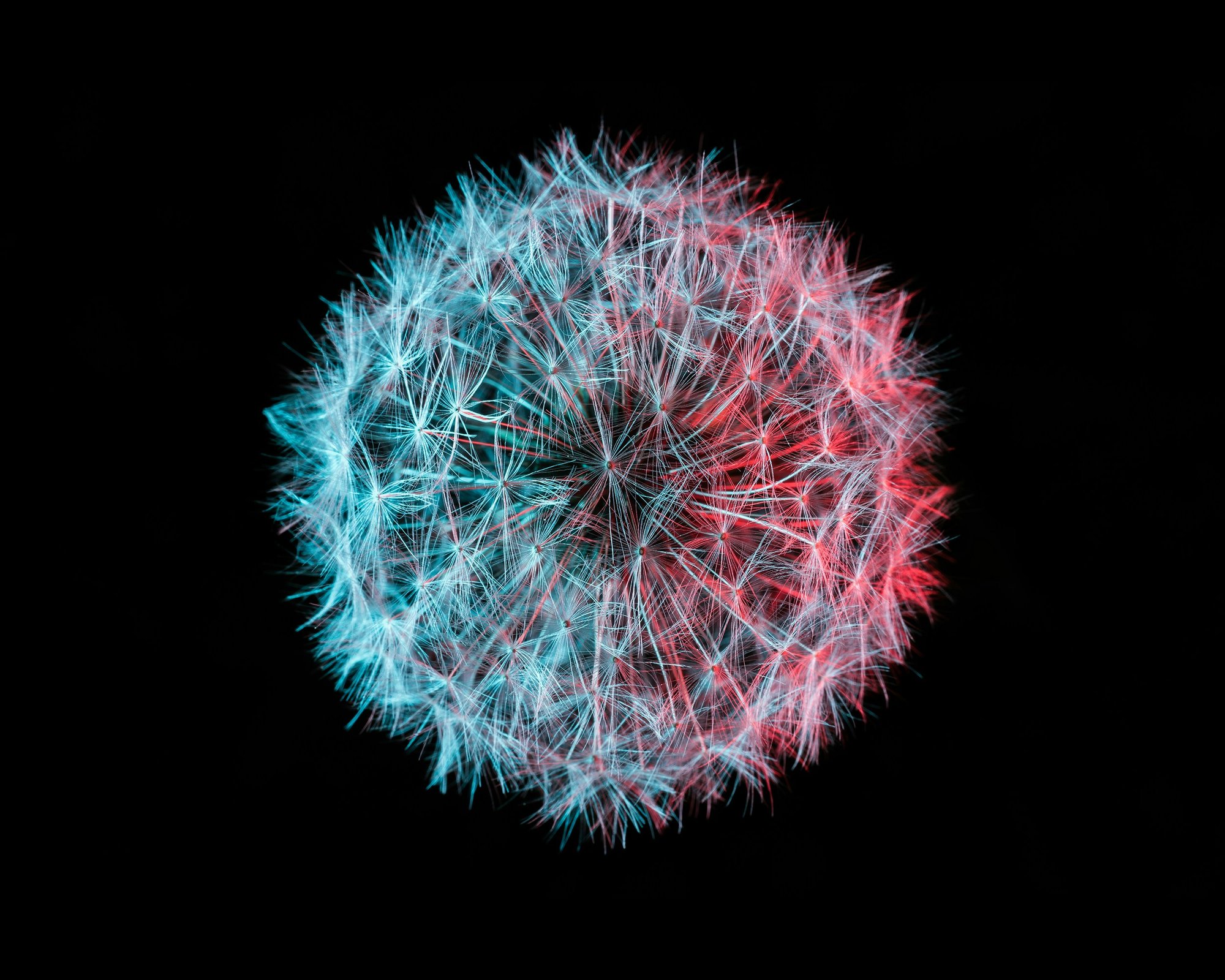 alessio-soggetti-MQPo7_kb2vU-unsplash
